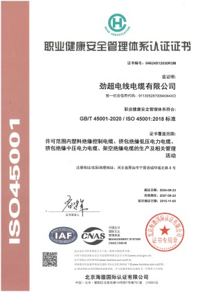 職業(yè)健康安全管理體系認證證書